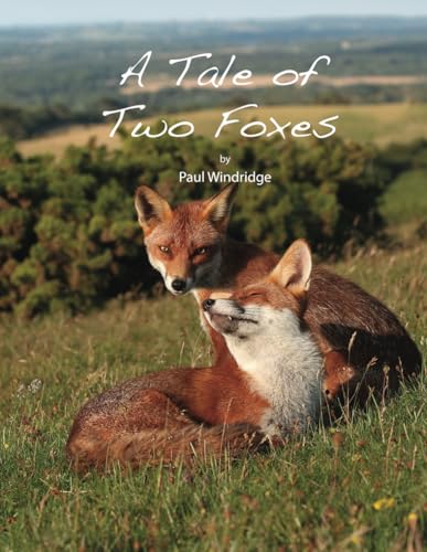  A Tale of Two Foxes