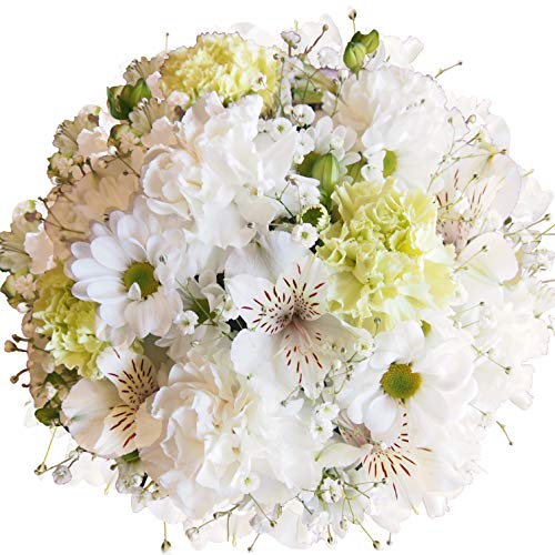 ԋE{Xyz funeral t[AWg yEh GWzp AWg    AW @ 䋟    ފ V~ ~  @v l\ 