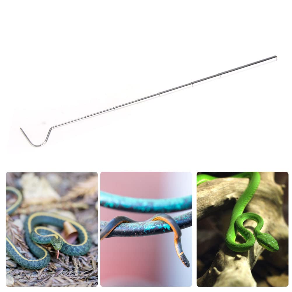 Gancio Per Serpenti Professionale - Asta Estendibile 16-68cm, Acciaio Inox, Testa Rotonda, Per Spostamento Sicuro - Foto 2