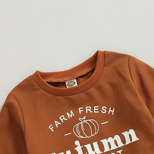 Toddler Baby Boy Girl Halloween Outfits Farm Sweatshirt Top Pumpkin Patch Pant Set Fall Autumn Clothes Autumn Farm 3-6 Months2