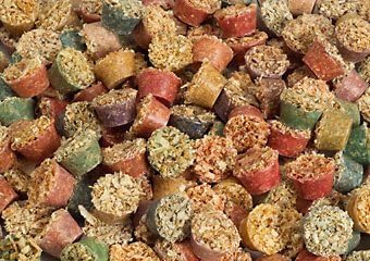 Bulk Case of 200 Firestarters