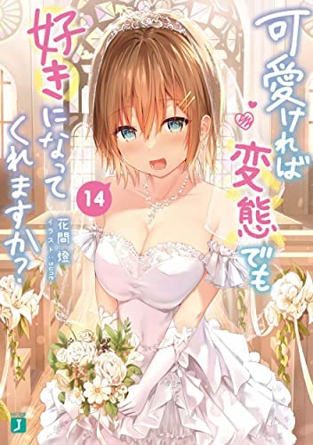 可愛ければ変態でも好きになってくれますか? ライトノベル 1-14巻セット 可愛ければ変態でも好きになってくれますか? ライトノベル 1-14巻セット