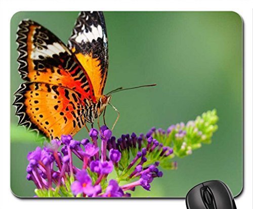 Preisvergleich Produktbild Ein palmer frilly beauty mouse pad