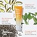 Murad Multi-Vitamin Clear Coat Sunscreen SPF 50 – Lightweight Broad-Spectrum SPF with Vitamins C-F, Bio-Fermented Clary Sage, and Chia Seed Nourishes Skin with No White Cast – 1.7 Fl Oz