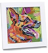 AyuqEjus 5D Diamond Painting Kits for Kids with 7.1"X7.1"Wooden Frame, Diamond Art for Kids Ages ...