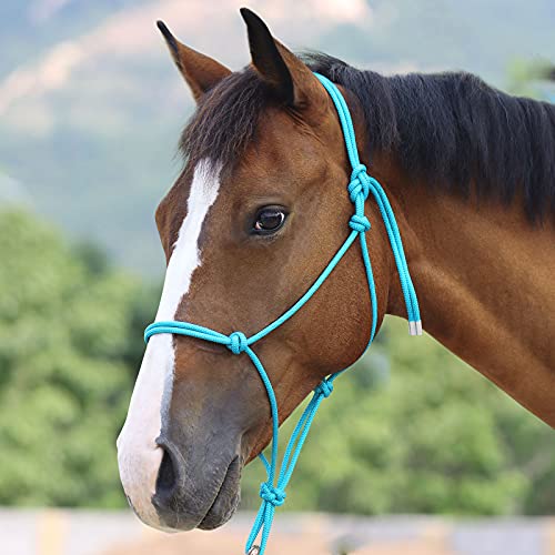 Cabestro de cuerda Harrison Howard para entrenamiento de caballos grandes en color turquesa 3