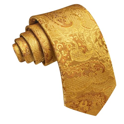 Image of Barry.Wang Paisley Tie for Men Silk Woven Necktie and Tie Clip Set Wedding Party Business Formal