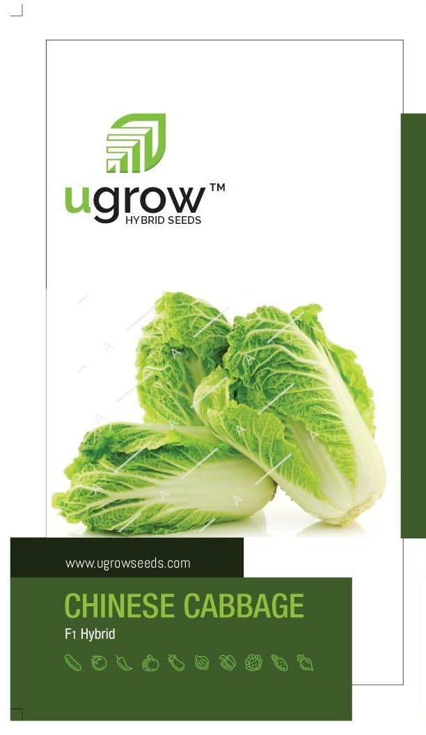 See full amazon price history chart for U-grow India F1 Hybrid Chinese Cabbage Seeds U-grow India F1 Hybrid Chinese Cabbage Seeds (B08Y39QCB2) Amazon Price History, Amazon Price Tracker