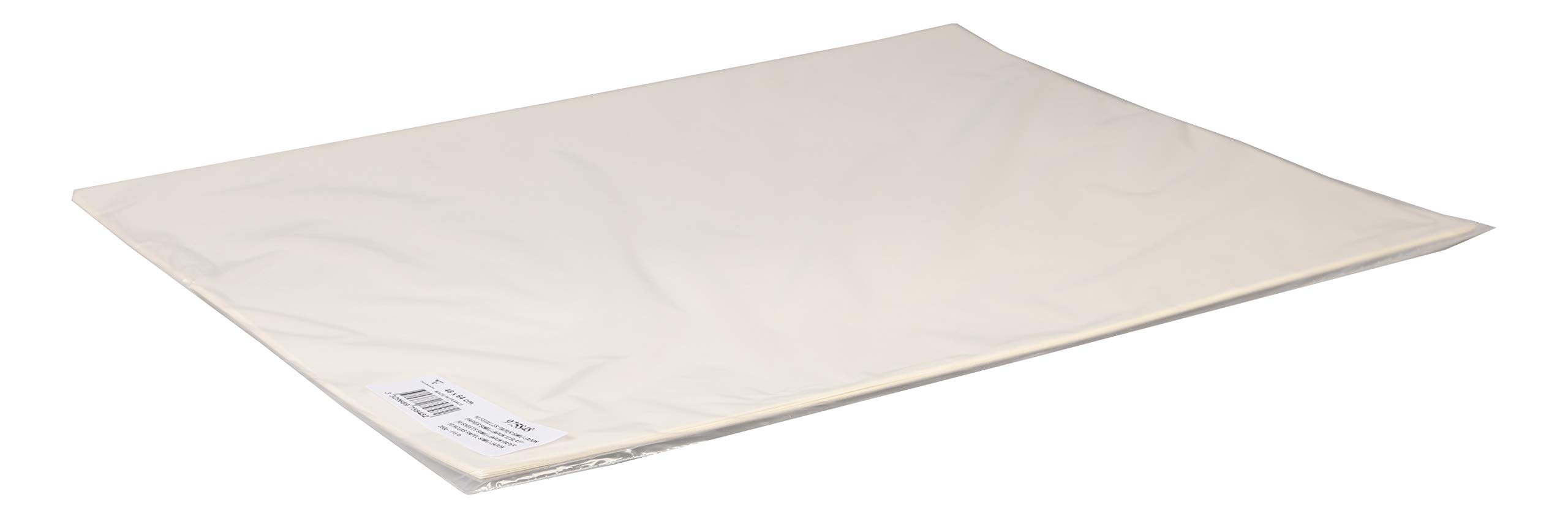 Clairefontaine Carta Da Disegno Simili Japon 250g | 10 Fogli Avorio 48x68 Cm, 100% Cellulosa PH Neutro, Per Incisione, Linoleografia E Belle Arti