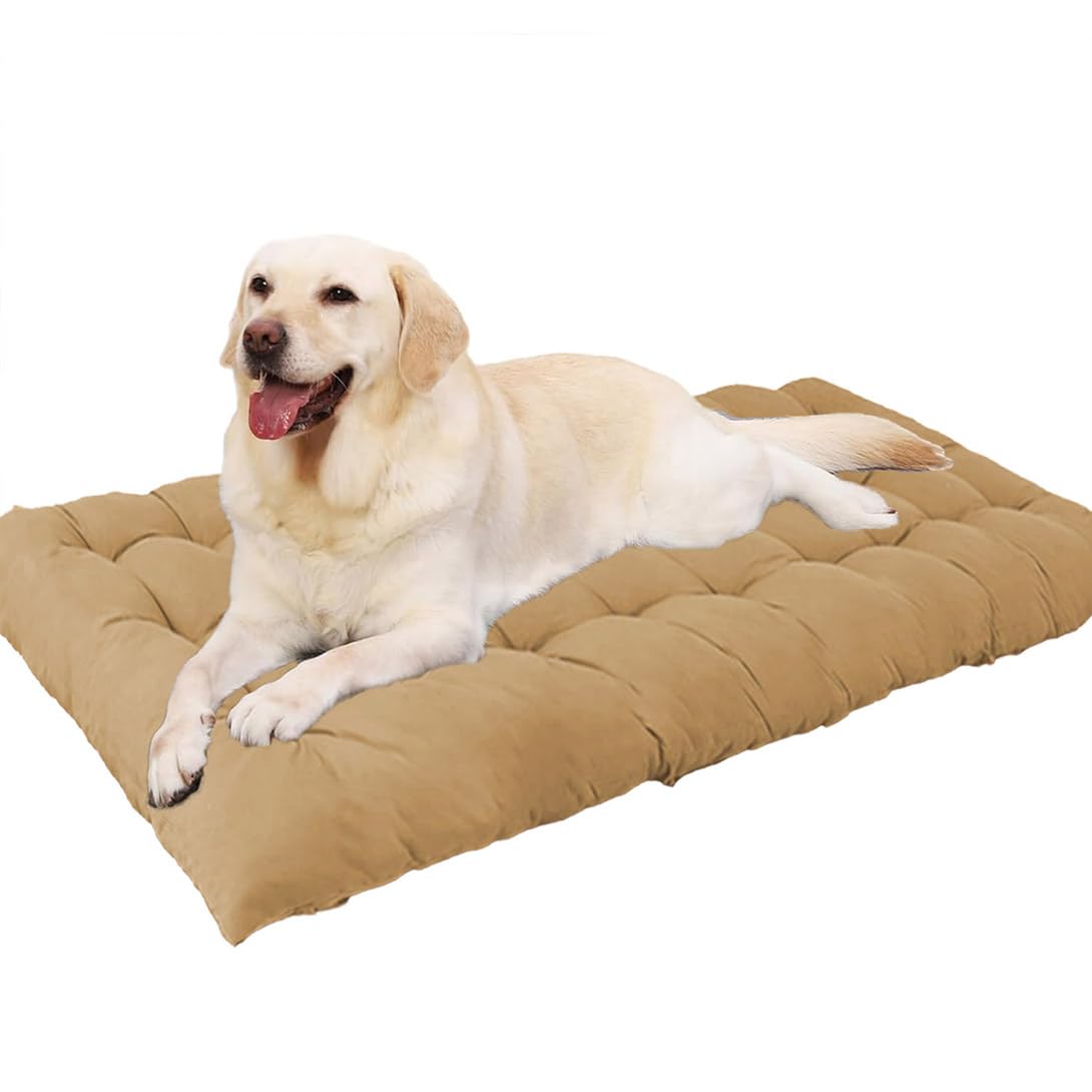 Lit anti-anxiété chien GGoty beige : grand couchage lavable en coton 100x60cm