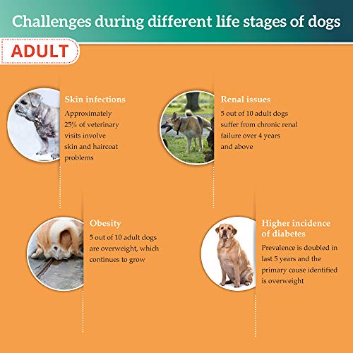 Image of Himalaya Healthy PET Food for Adult Dogs | Meat & Rice | 3kg | Complete & Balanced Nutrition with Mountain Knot Grass, Tree of Heaven & Guduchi