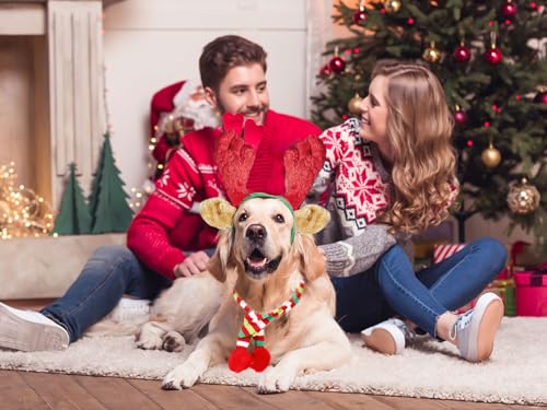Disfraz para perros con diadema de árbol navideño rojo miniatura 4
