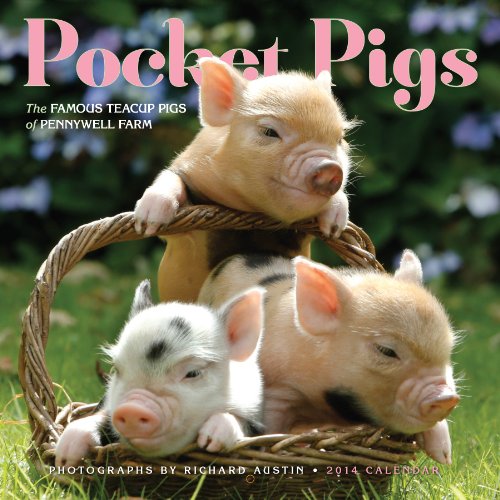 Pocket Pigs 2014 Calendar: The Famous Teacup Pigs of Pennywell Farm Pocket Pigs 2014 Calendar: The Famous Teacup Pigs of Pennywell Farm