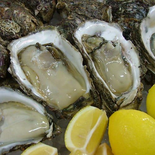 Amazon 山形県庄内産天然岩牡蠣 大 5ヶセット クール便 山形 鮮魚 通販