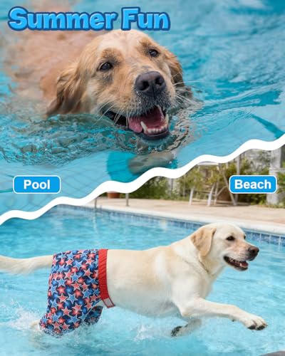 Image of CuteBone Dog Swim Trunks Swimsuit Durable & Comfortable - Quick-Dry, Adjustable Waistband Shorts, UV Protection Bikini- Perfect for Beach, Pool & Outdoor Fun, Dinos DST12M