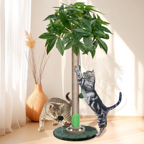 LpXNb`|Xg ؐ{[gbN&C^NeBuL̂ 35C` TCU[v LXNb`[ t̑c[^[ ̎qL lp