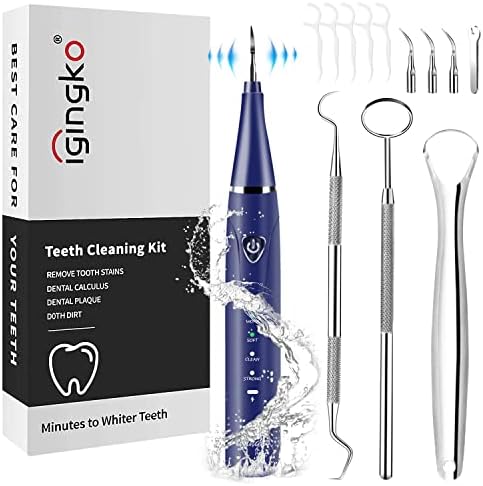 igingko Teeth Cleaning Kit with LED Light, Tooth Cleaning 3 Modes Dental Care Kit with 4 Replaceable Heads & Oral Mirror & Dental Probe & Tongue Scraper Teeth Whitener, Safe for Adult Kids Dogs