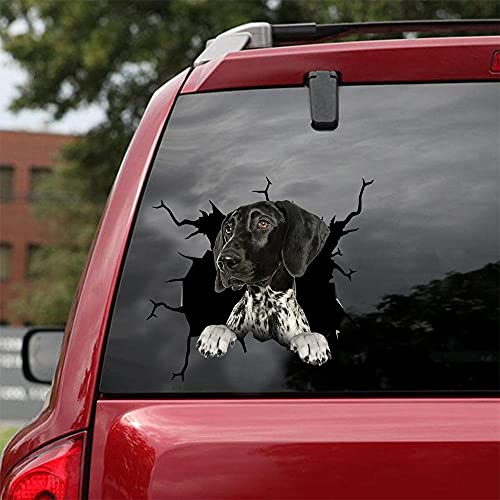 Ocean Gift German Shorthaired Pointer Car Decals, Dog Car Stickers Pack of 2 - Realistic German Shorthaired Pointer Stickers for Car Windows, Walls Series 108 Size 10