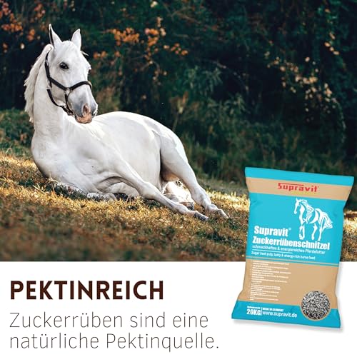 Supravit Rübenschnitzel 20kg | schmackhaftes & energiereiches Pferdefutter | Zuckerrübenschnitzel für Pferde I hoher Anteil an Pektinen für eine gesunde Darmflora I Ideal für Sportpferde geeignet