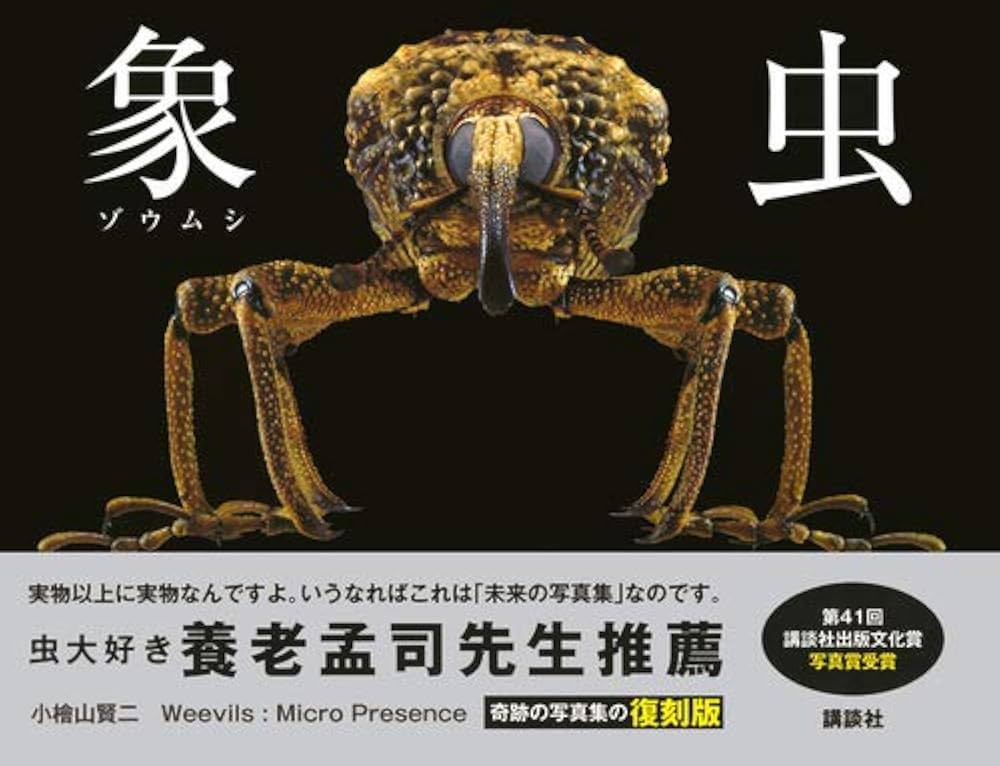 象虫 Weevils:Micro Presence 復刻版 | 小檜山 賢二, 小檜山