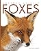Foxes (Amazing Animals)