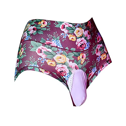 LESOYA Men's Sexy Sissy Breathable Panties Low Rise Boxer Briefs Stretchy Underwear with Sheath