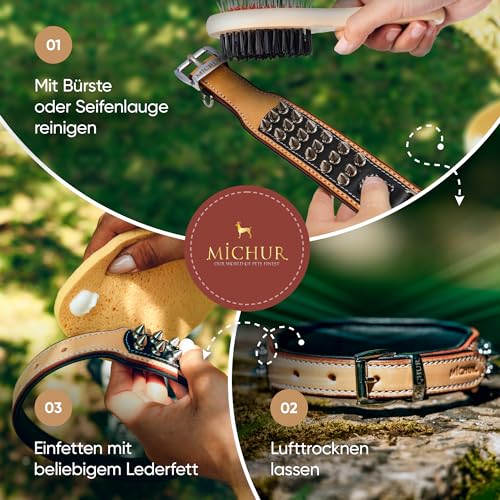 MICHUR Strike NO. 1 Hundehalsband Leder, Halsband, Lederhalsband Hund, Nieten, Halsband Leder MIT Nieten, BEIGE SCHWARZ BREIT, in verschiedenen Größen erhältlich