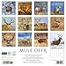 Mule Deer 2026 12