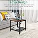 TomCare End Table 2-Tier Side Table with Storage Shelf Small Tables Living Room Square Coffee Table Nightstand Metal Frame Bedside Table Multipurpose for Home Office Living Room Bedroom