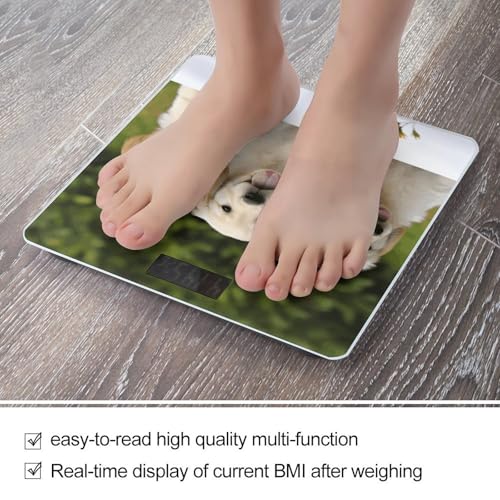 Báscula digital de baño tema Golden Retriever 400 lb vidrio templado miniatura 5