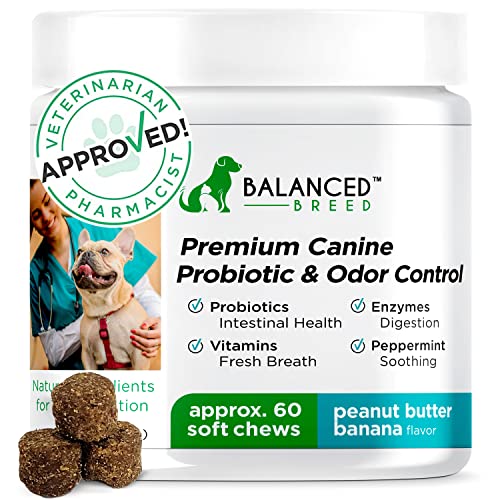 Balanced Breed Probiotics Dogs Itchy Skin Odor Control Gas Natural Relief Treats Pre Probiotic Dogs Digestive Health Pet Probiotics Dogs Chews Dog Supplements Vitamins Dog Probiotics Digestive Enzymes