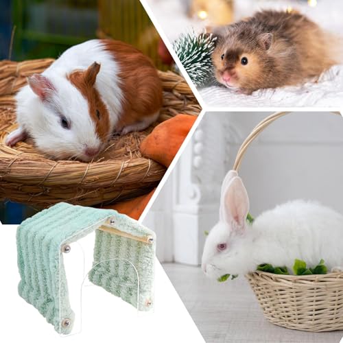 Esconde de animal interno, pele de animal pequeno,Porta acrílica Hole de animais destacável | Louse