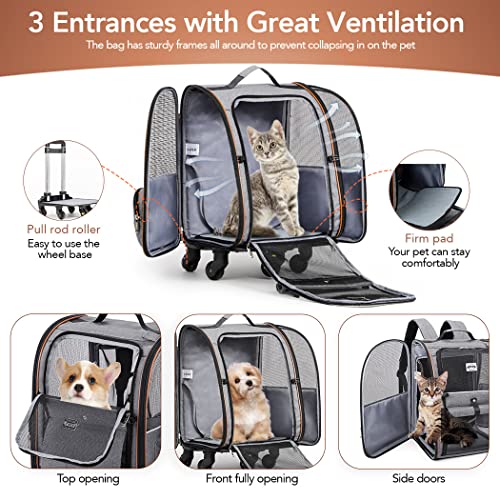 Lekespring Hunderucksack Katzenrucksack mit Trolley 2 in 1 bis 8 kg, Erweiterbar Katzenrucksack Große Transportbox für kleine Hunde und Katzen, Grau-L