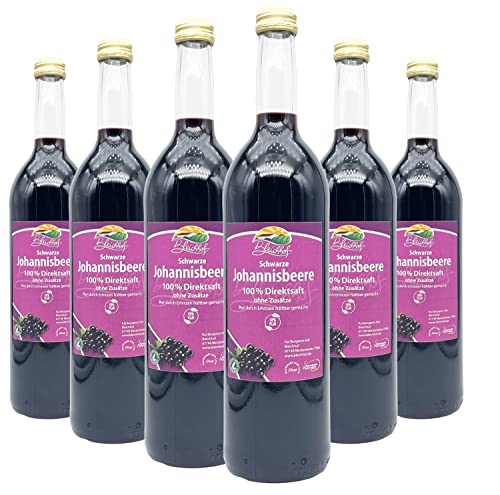 BLEICHHOF® [6er Pack] Schwarzer Johannisbeersaft - 100% leckerer Direktsaft - Frische Früchte - ohne Zuckerzusatz und Zusatzstoffe - Nachhaltig hergestellt im Familienbetrieb