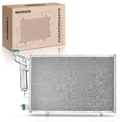 Frankberg Radiatore climatizzatore Condensatore Compatibile con Fiesta VI CB1 CCN 1.25 Fiesta VI CB1 CCN 1.4 Fiesta VI CB1 CCN 1.6 Ti Fiesta VI CB1 CCN 1.4 TDCi Fiesta VI CB1 CCN 1.4 LPG 3881,1756718