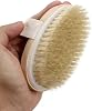 Jouis Cellulite Brush Bathroom Horse Hair Natural Fiber Massage Brush (1 (.Grade Quality)