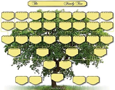 Family Tree Ancestor Chart - 5 Generations Pack of 100, Packed in one Carton