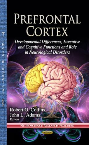 Prefrontal Cortex view 2