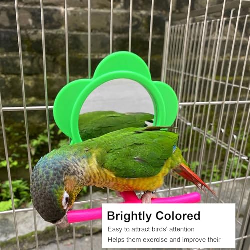 Image of Bird Mirror Perch Toy, Colorful Interactive Standing Swing Exercise Toy for Bird Cage Acrylic Plastic 4.7 Inch Mirror 4.7 Inch Perch 1 Piece