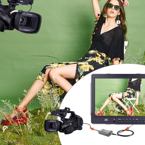 Lwuey BNC to HDMI Converter, Coax Adapter Audio Video 1080p 720p HD Output USB Cable Connector Multi Mode Analog CVBS Security Camera HD Display Interface Surveillance Monitor for PS2 PS3 PSP