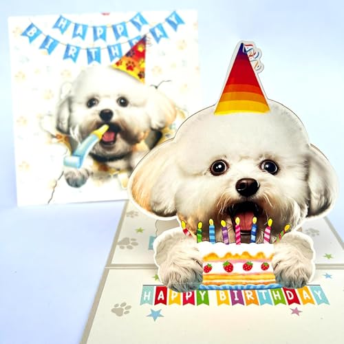 Momapopup Bichon Frise Birthday Card 3D Pop Up