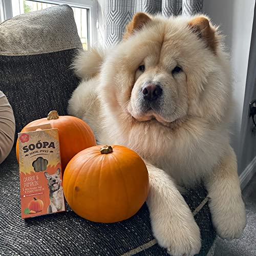 Soopa Pumpkin and Carrot Dental Sticks Dog Treat, 100 g (Pack of 2), Transparent - Image 3