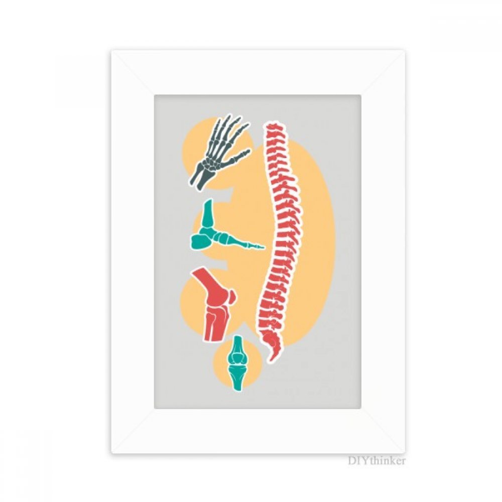 Illustration colonne vertébrale cadre photo bureau blanc 5x7
