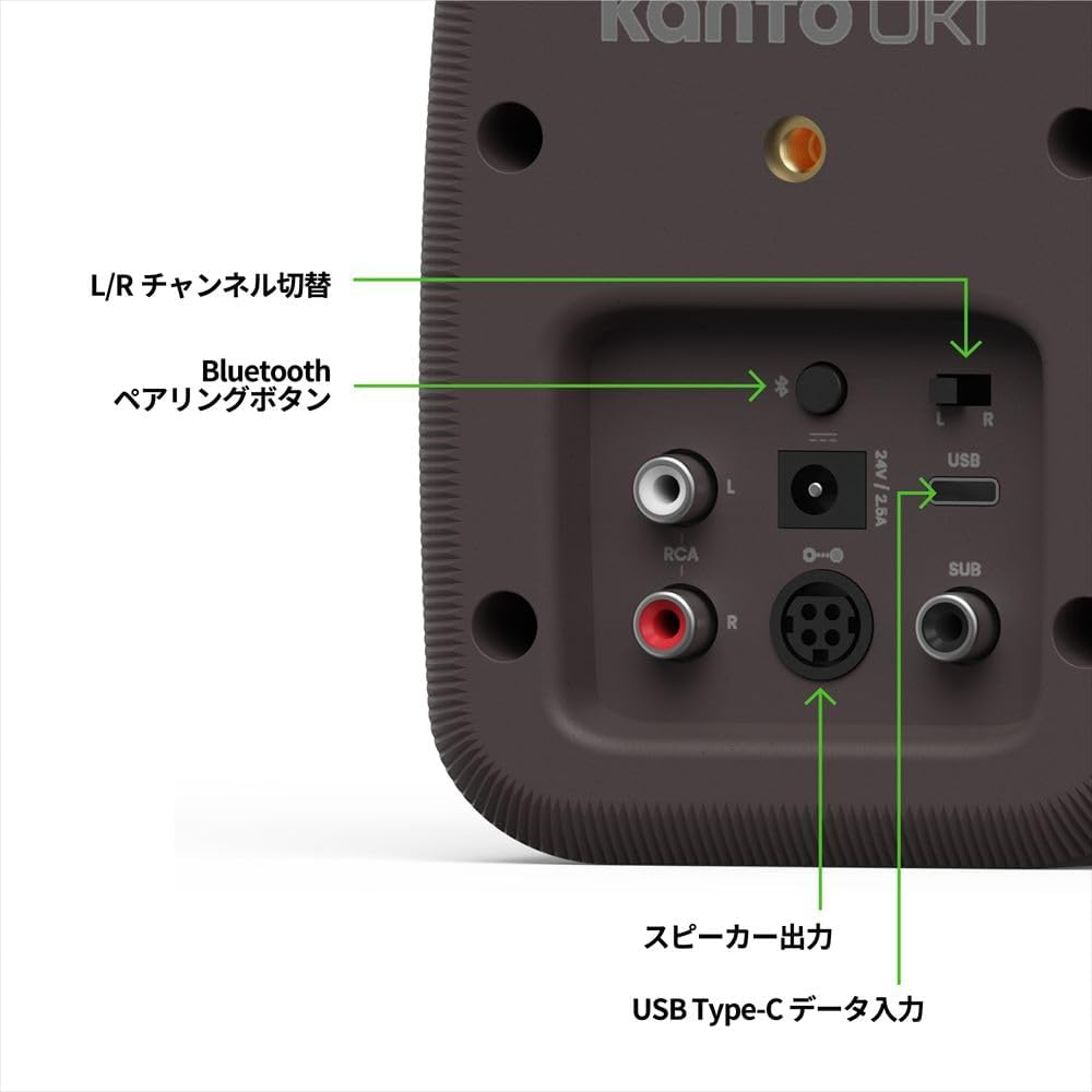 Close-up of Kanto UKI speaker rear panel showing L/R channel switch, Bluetooth pairing button, RCA input, Subwoofer output, and USB Type-C data input