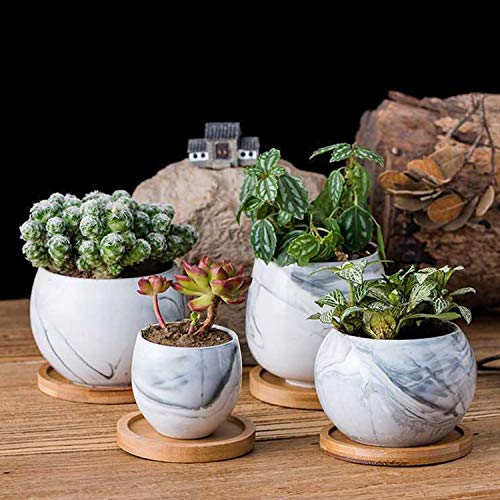Gukbiay Round Bamboo Plant Saucer 6 Inch 2 Packs Plant Pot Tray For Modern Ceramic Flower Pot #TOP2