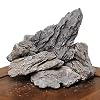 Amtra Roccia Dragon Stone – Decorazione Naturale per acquari Wild, Calcarea, ideale per giardini Zen, peso 0,6-2 Kg