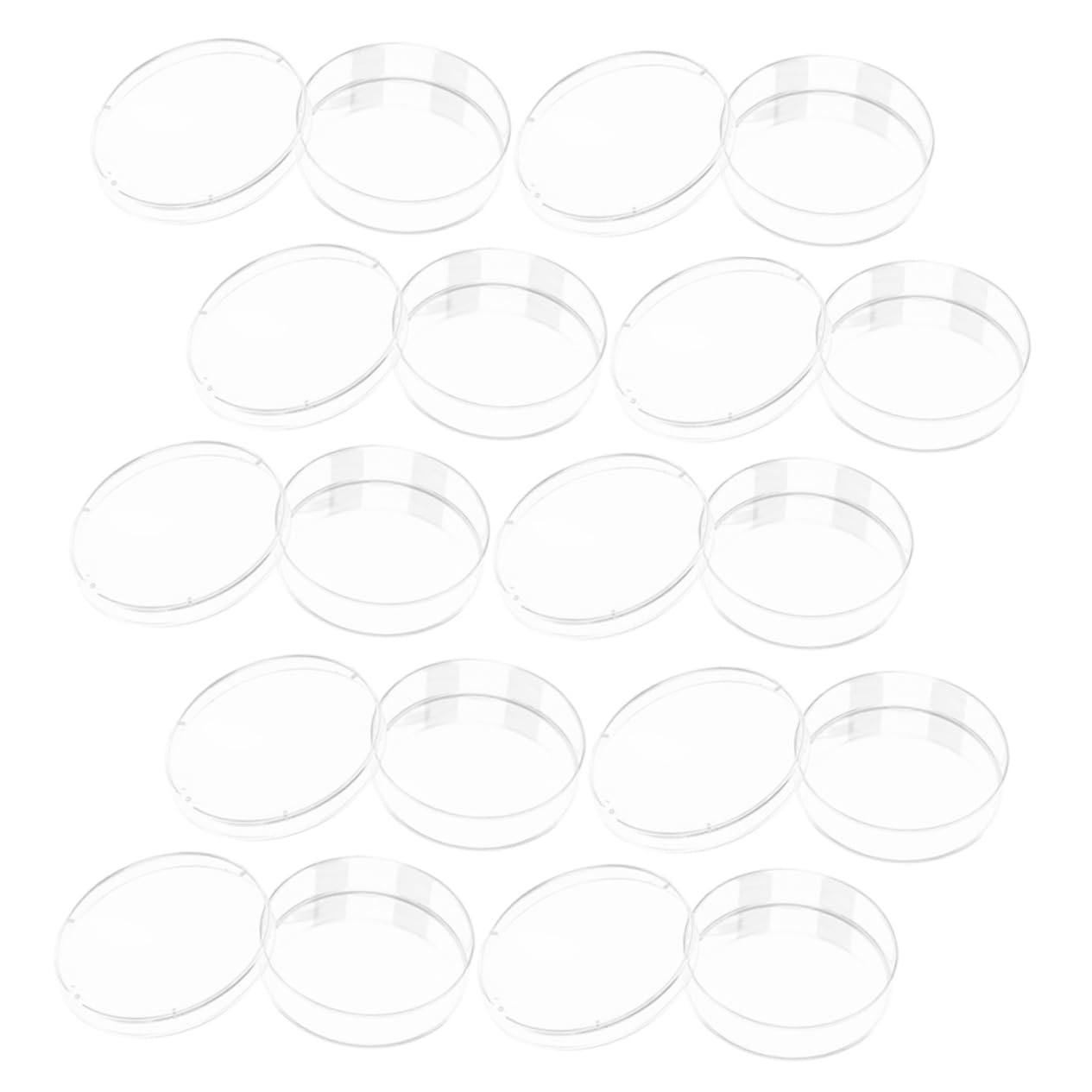 iplusmile 50pezzi Piastra Per Coltura Cellulare Trasparente Utensile Da Laboratorio Per Esperimenti Materiale Robusto e Versatile Per Chimica e Ricerca Scientifica