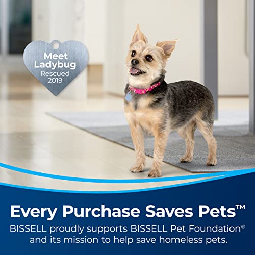 Bissell 3705 Stain Eraser Duo, 2-In-1 Cordless Portable Deep Cleaner And Hand Vacuum thumb #6