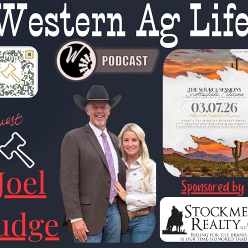 Joel Judge- The Source sessions