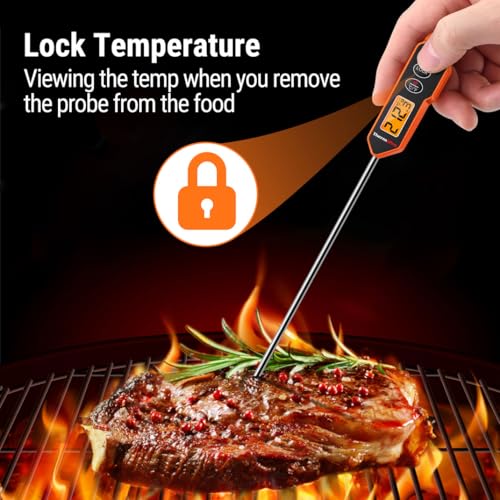 Image of LABART ThermoPro TP01H Instant Read Meat Thermometer with Long Probe for BBQ, Candy, Oil, and Smoker